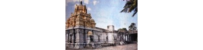 நெடுங்குணம்